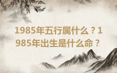 1985年五行|1985年出生是什么命运？什么五行？